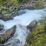 Jelena - Near Vintgar, Bled Daire *