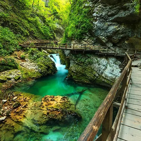 Jelena Gorje, Bled, Pokljuka, Vintgar *