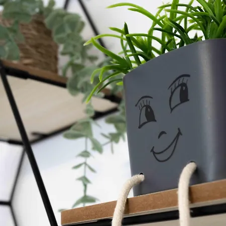 Jelena Gorje, Vintgar, Bled * Zgornje Gorje