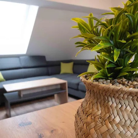 Jelena - Modern Spacious Near Vintgar Gorge & Bled