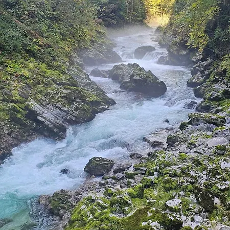 Jelena Gorje, Vintgar, Bled 지고르니예 고르예