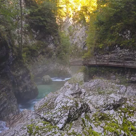 Jelena Gorje, Vintgar, Bled