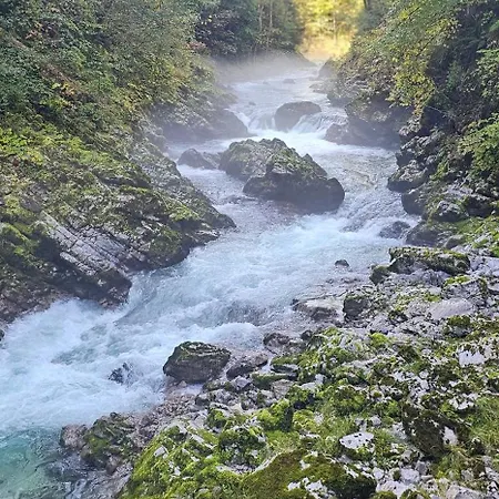 Jelena Gorje, Vintgar, Bled דירה
