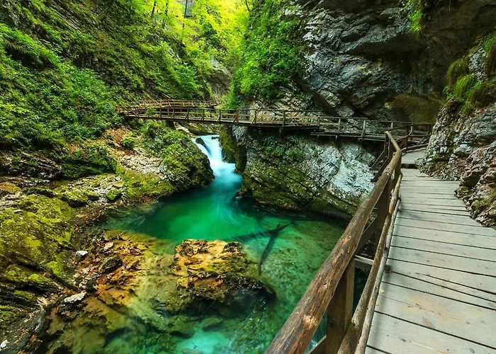 Jelena Gorje, Vintgar, Bled *