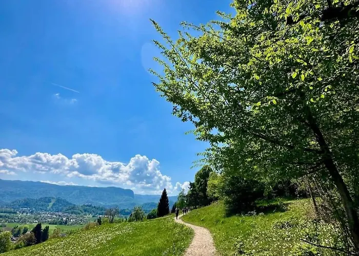 Jelena Gorje, Vintgar, Bled * Zgornje Gorje