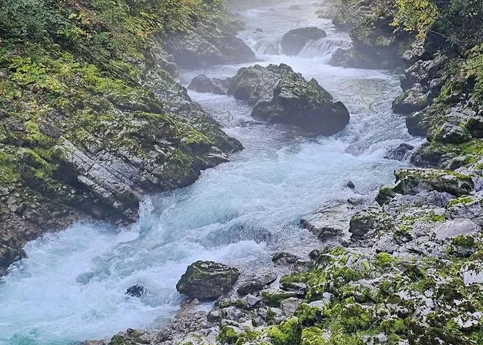 Jelena Gorje, Vintgar, Bled Zgornje Gorje