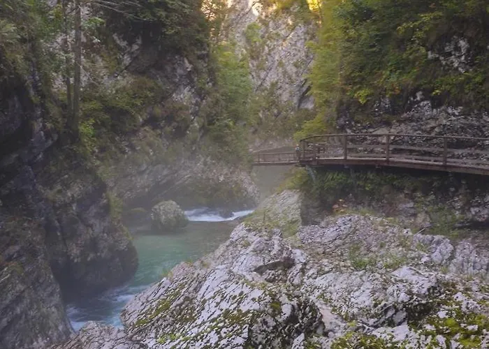 Jelena Gorje, Vintgar, Bled